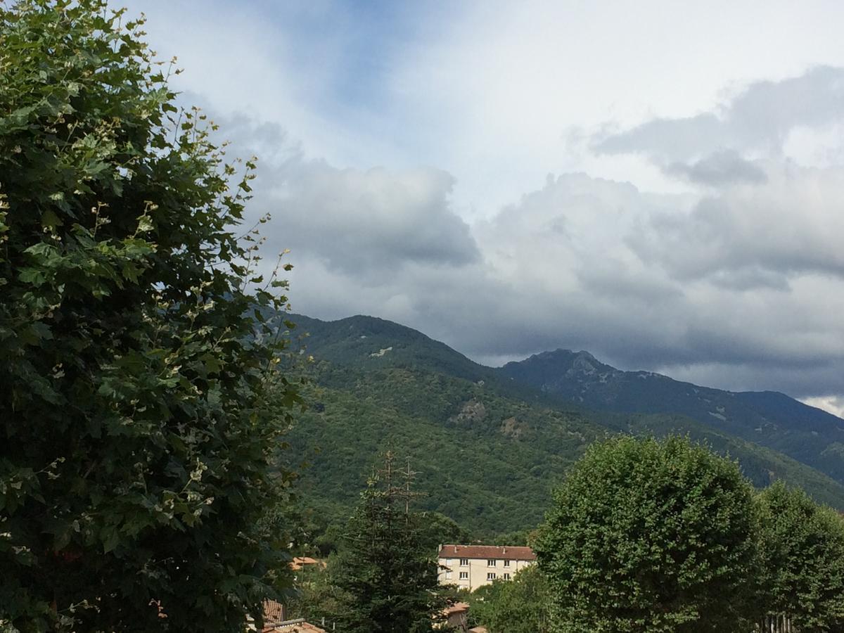 Hotel Et Appartements Les Platanes Thueyts Экстерьер фото