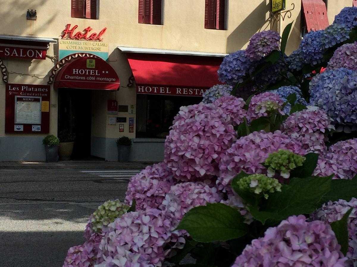 Hotel Et Appartements Les Platanes Thueyts Экстерьер фото
